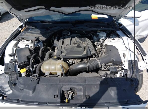 1FA6P8TH6K5172101 2019 FORD MUSTANG White 