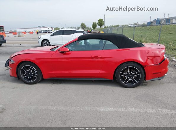 1FATP8UH5P5103473 2023 FORD MUSTANG Red 
