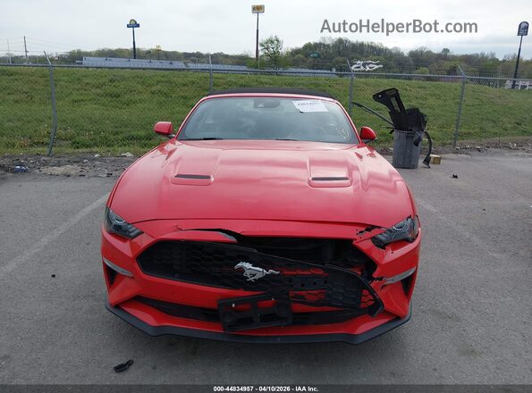 1FATP8UH5P5103473 2023 FORD MUSTANG Red უკანა სალონის ხედი