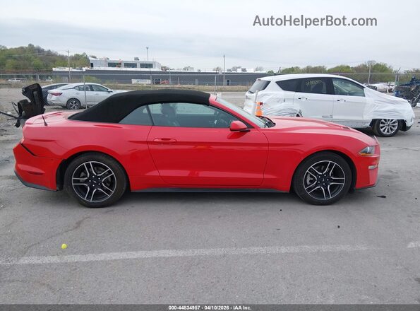 1FATP8UH5P5103473 2023 FORD MUSTANG Red სალონის 360-გრადუსიანი ხედი
