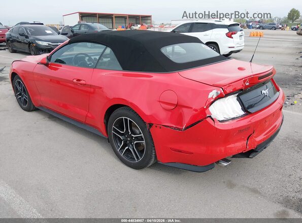 1FATP8UH5P5103473 2023 FORD MUSTANG Red უკანა მარცხენა