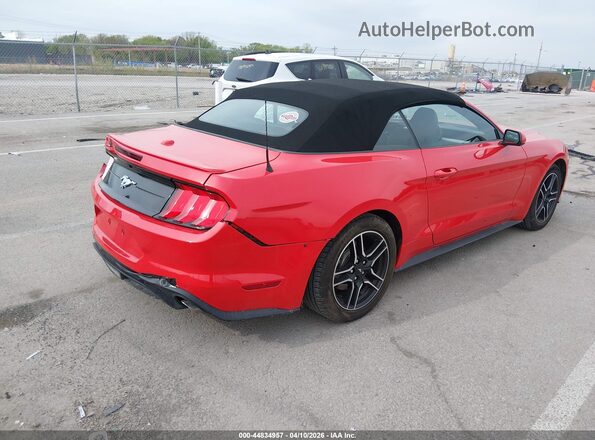 1FATP8UH5P5103473 2023 FORD MUSTANG Red უკანა მარჯვენა