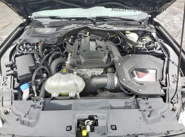 1FATP8UH6L5178323 2020 FORD MUSTANG Черный Вид задней части салона