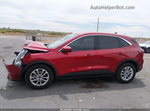 1FMCU0G68MUB28847 2021 FORD ESCAPE Красный 
