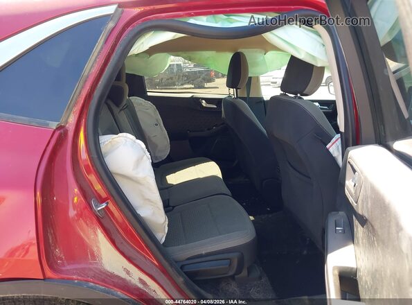 1FMCU9G65LUC66204 2020 FORD ESCAPE Maroon VIN sticker view