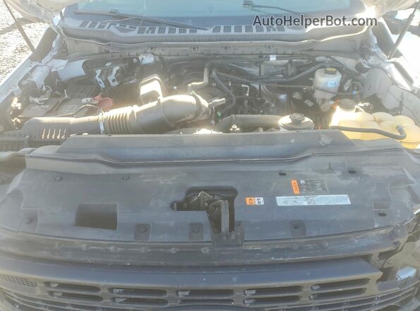 1FT7W2BA4SEC60583 2025 FORD F250 White Սալոնի հետևի տեսք