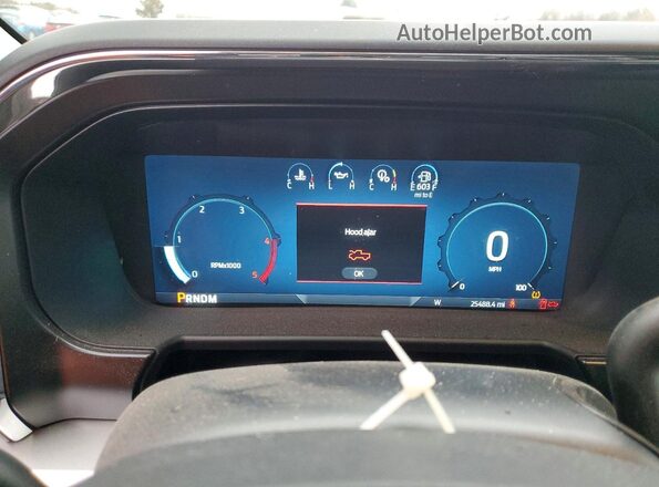 1FT8W2BT7REF98964 2024 FORD F250 Blue Vista del cuadro de instrumentos