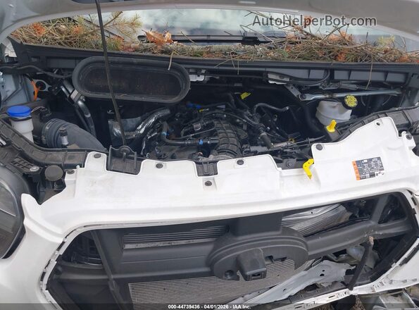 1FTBW2XG1RKB19795 2024 FORD TRANSIT-350 White Հետևի տեսք
