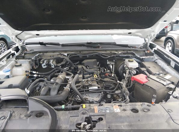 1FTER4BH7RLE07962 2024 FORD RANG White უკანა ხედი