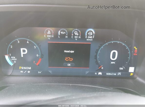 1FTER4LR0SLE37656 2025 FORD RANG Green Widok tylnych siedzeń