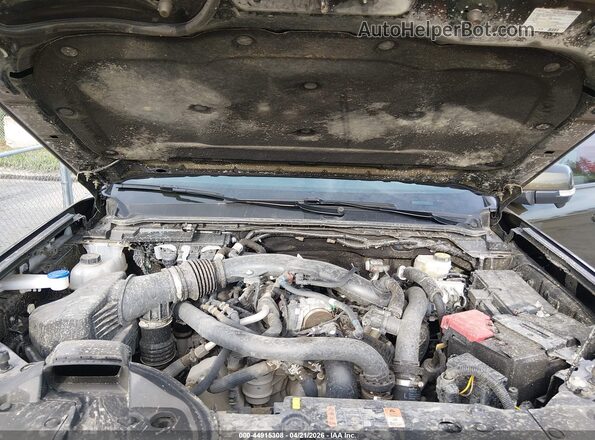 1FTER4LR0SLE37656 2025 FORD RANG Green Widok z tyłu