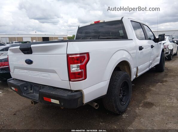 1FTEW1CB2LKE11643 2020 FORD F150 Белый Задняя правая четверть