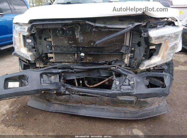 1FTEW1CB2LKE11643 2020 FORD F150 Белый Вид спереди