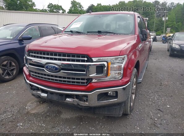 1FTEW1CP2KKF21957 2019 FORD F150 Красный Передняя левая четверть