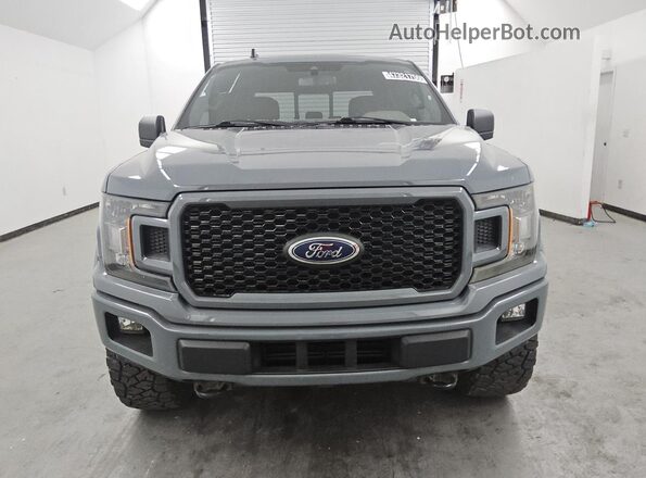 1FTEW1EP2KFA12778 2019 FORD F150 Серый Панорамный вид салона 360°