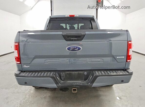 1FTEW1EP2KFA12778 2019 FORD F150 Серый Вид сзади