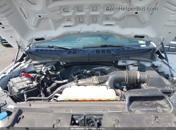 1FTEW1KP4RKD76075 2024 FORD F150 White Widok z tyłu