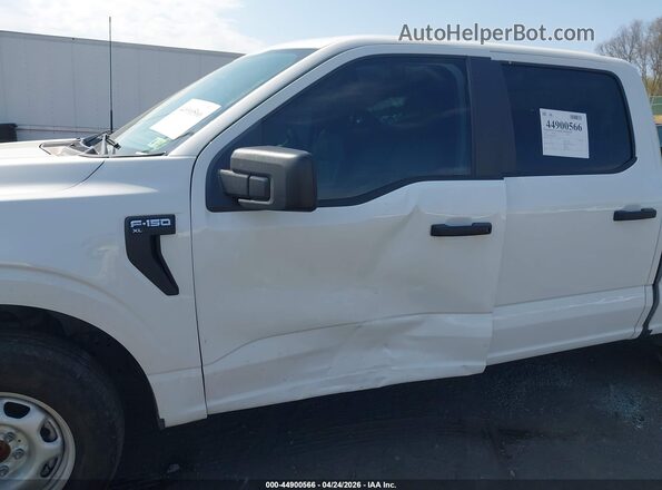 1FTEW1KP4RKD76075 2024 FORD F150 White Widok z przodu