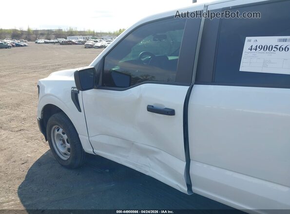 1FTEW1KP4RKD76075 2024 FORD F150 White 