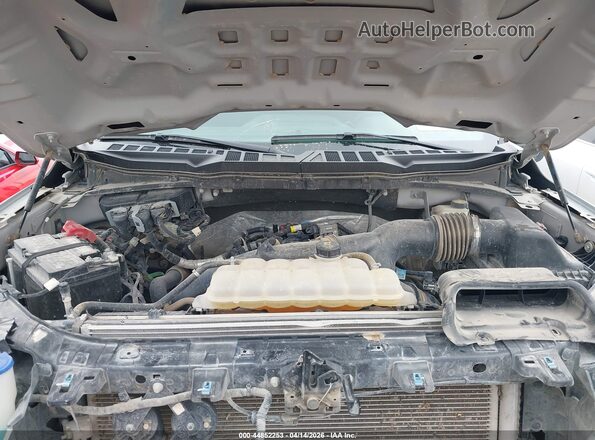 1FTEW2LP5RKF26196 2024 FORD F150 Gray Widok z tyłu