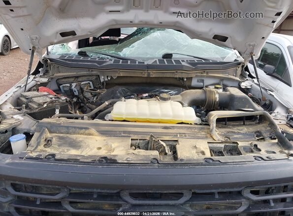 1FTEW2LP6SFA88612 2025 FORD F150 White Widok z tyłu