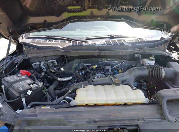 1FTEW2LP7RFB50187 2024 FORD F150 Black Widok z tyłu