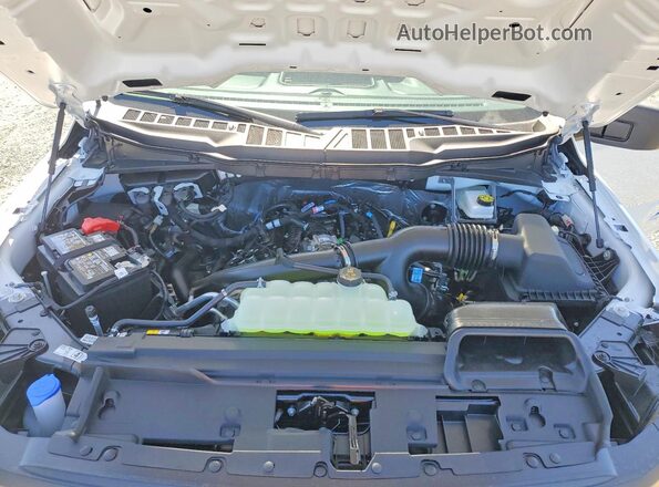1FTEX1KP6TKD18862 2026 FORD F150 White Вид задньої частини салону