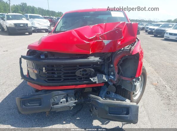 1FTEX1KP8RKE64687 2024 FORD F150 Red Vista frontal