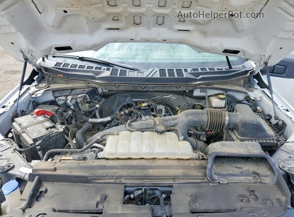1FTEX2KP4RKE09174 2024 FORD F150 White Вид задньої частини салону