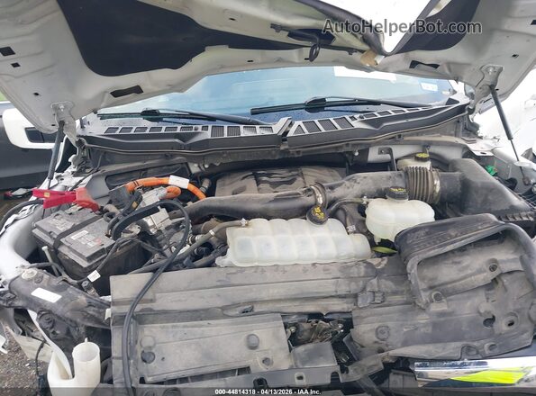 1FTFW1ED0PFD04852 2023 FORD F150 Белый Вид сзади
