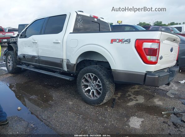 1FTFW1ED0PFD04852 2023 FORD F150 Белый Панорамный вид салона 360°
