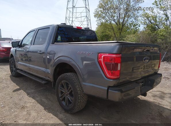 1FTFW1ED3PFD08507 2023 FORD F150 Gray Tył lewy