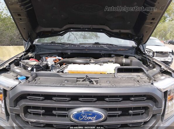 1FTFW1ED3PFD08507 2023 FORD F150 Gray Widok z tyłu