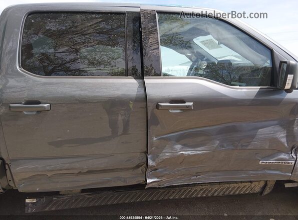 1FTFW1ED3PFD08507 2023 FORD F150 Gray Widok wnętrza z tyłu