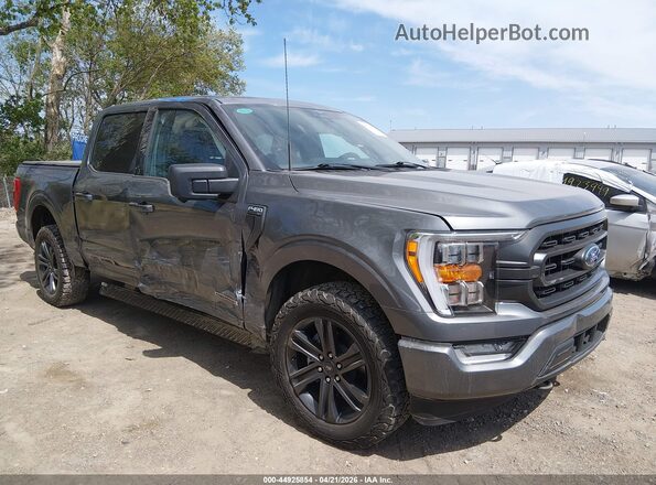 1FTFW1ED3PFD08507 2023 FORD F150 Gray Widok z przodu