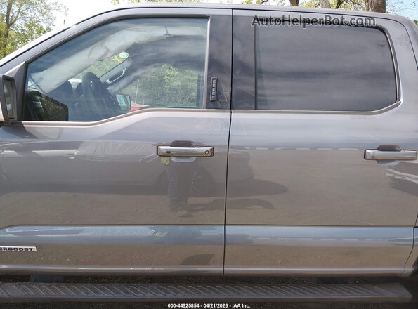 1FTFW1ED3PFD08507 2023 FORD F150 Gray Widok wnętrza 360 stopni