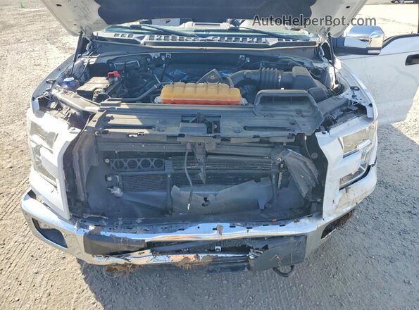 1FTMF1EF1GKD69743 2016 FORD F150 White Rear interior view