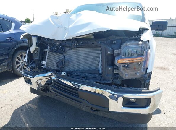 1FTMF1L53RKD40645 2024 FORD F150 White Widok z przodu