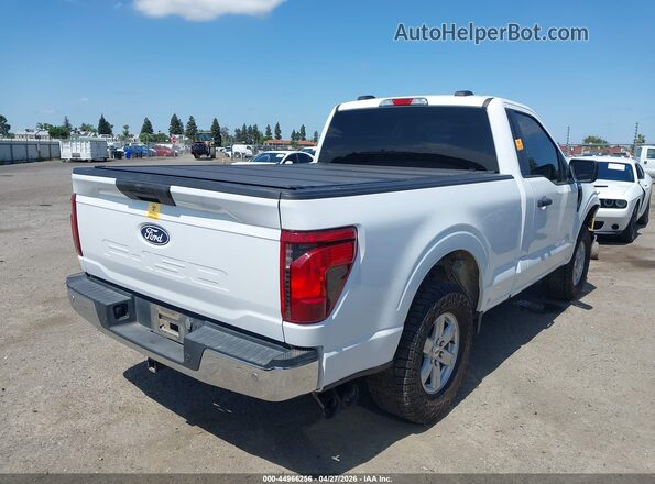 1FTMF1L53RKD40645 2024 FORD F150 White Tył prawy