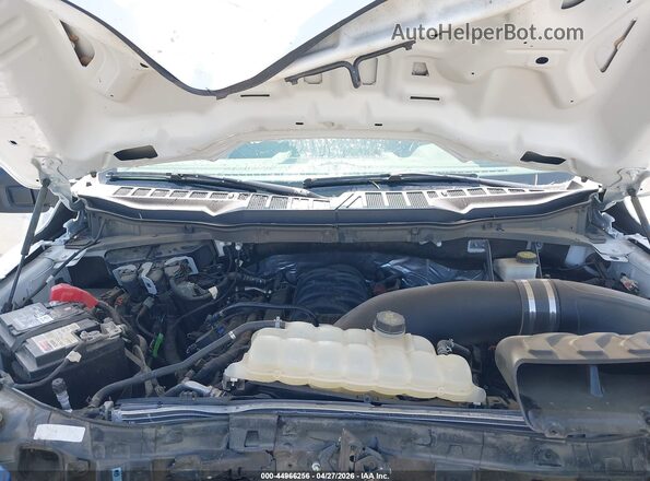 1FTMF1L53RKD40645 2024 FORD F150 White Widok z tyłu