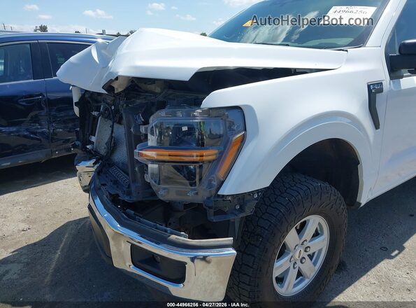 1FTMF1L53RKD40645 2024 FORD F150 White 