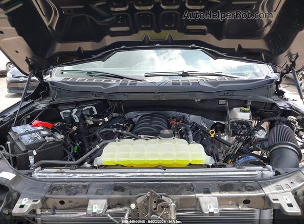 1FTMF1L53SKF12632 2025 FORD F150 Dark Blue Widok z tyłu