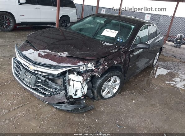 1G1ZB5ST7LF051060 2020 CHEVROLET MALIBU Maroon 