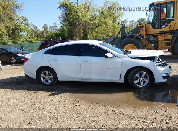1G1ZC5ST7RF148572 2024 CHEVROLET MALIBU Белый 