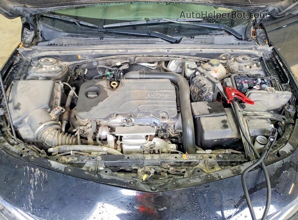 1G1ZD5ST8MF005233 2021 CHEVROLET MALIBU Черный Вид задней части салона