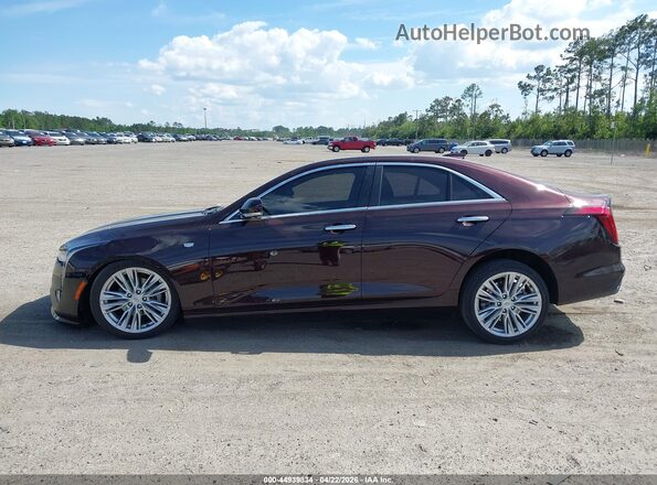 1G6DB5RK8M0146832 2021 CADILLAC CT4 Maroon 