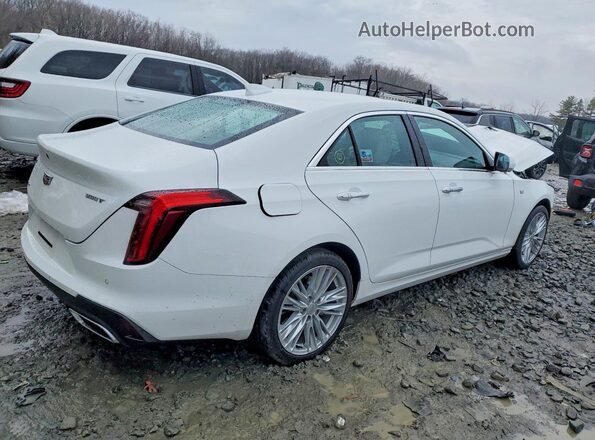 1G6DF5RK2P0121238 2023 CADILLAC CT4 White უკანა მარჯვენა