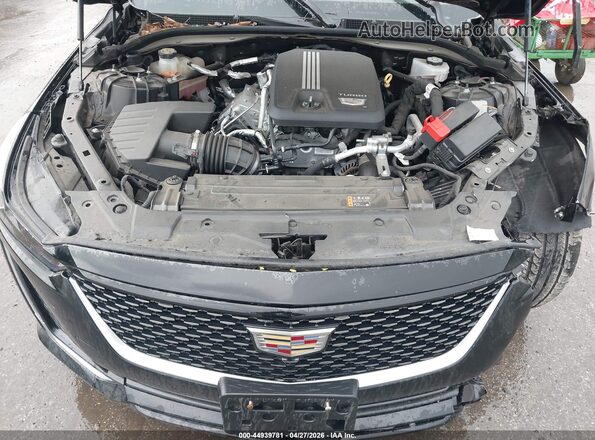 1G6DM5RK2M0113562 2021 CADILLAC CT5 Black უკანა ხედი