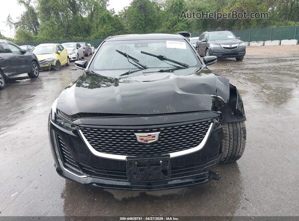 1G6DM5RK2M0113562 2021 CADILLAC CT5 Black უკანა სალონის ხედი