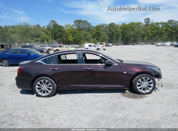 1G6DN5RW8M0143441 2021 CADILLAC CT5 Burgundy Widok wnętrza 360 stopni